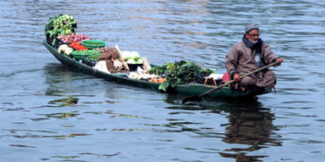 جھیل ڈل کی شان رفتہ بحال کرنے کی کوشش