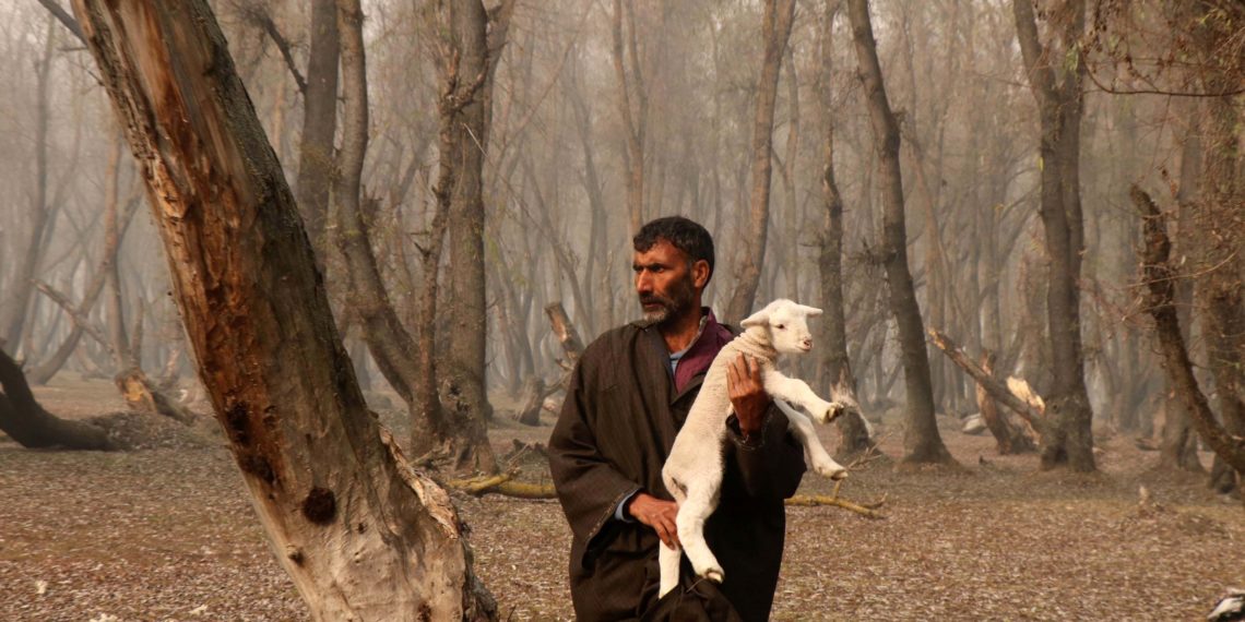 چرواہا میمنے کو گود میں لیتے ہوئے تصویر کھنچواتے ہوئے۔۔۔۔۔(فوٹو /ساحل میر)