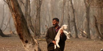 چرواہا میمنے کو گود میں لیتے ہوئے تصویر کھنچواتے ہوئے۔۔۔۔۔(فوٹو /ساحل میر)