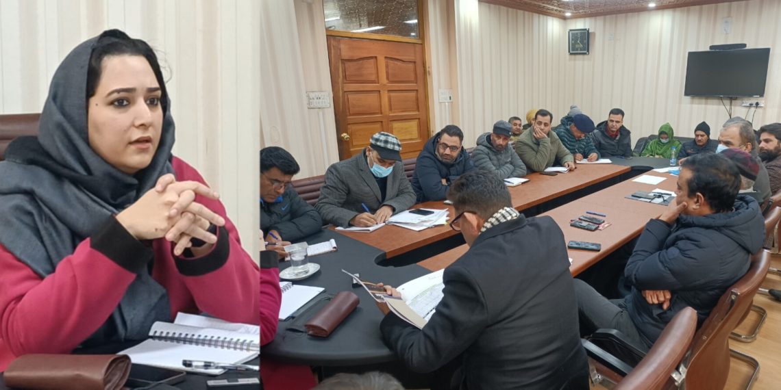 ڈی سی بارہمولہ نے برف صاف کرنے کے اقدامات کا جائزہ لیا