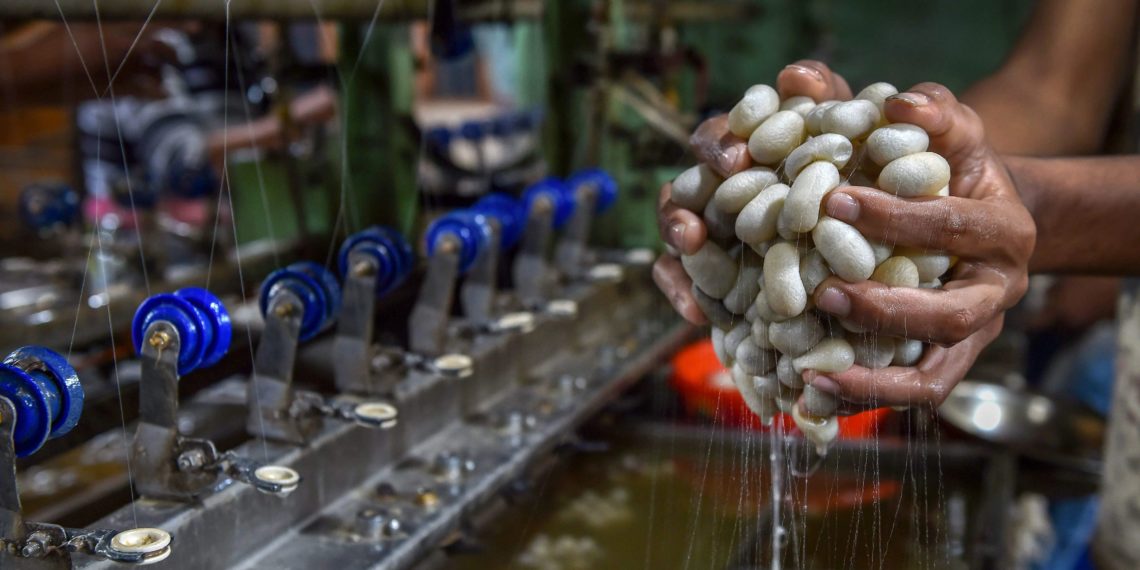 جموں و کشمیر واحد خطہ ہے جو دنیا میں بہترین معیار کا بائیوولٹائن سلک تیار کرتا ہے