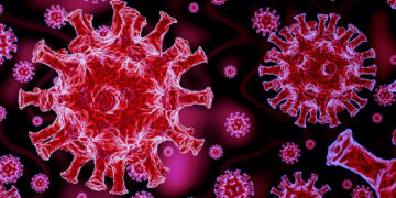 ملک میں گزشتہ 24 گھنٹوں میں 12 ریاستوں میں کورونا کے نئے معاملے