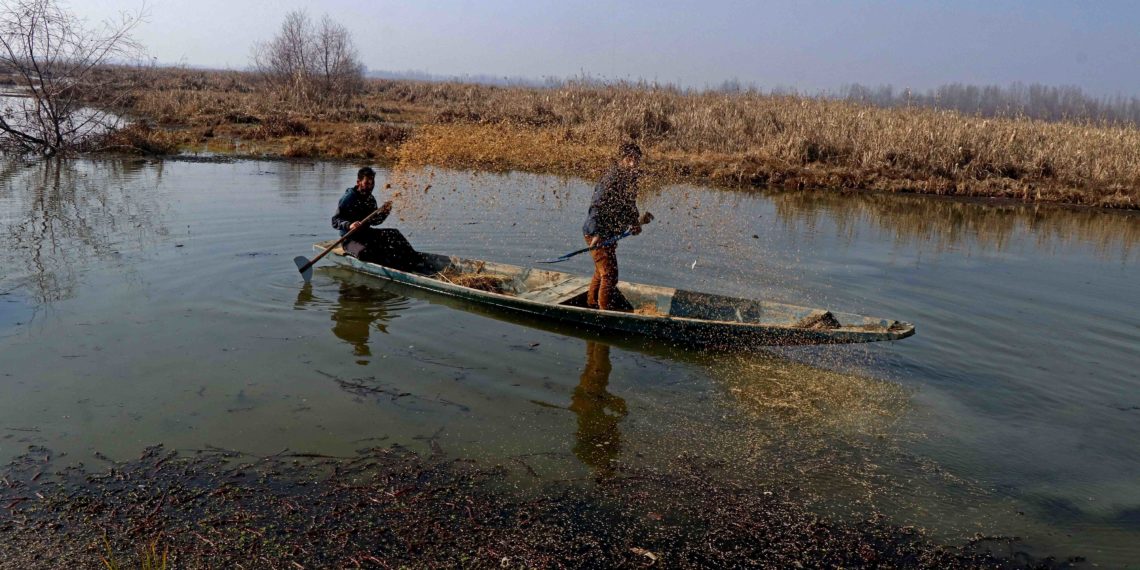 محکمہ وائلڈ لائف کے اہلکار ہوکرسر جھیل میں پرندوں کیلئے غذا ڈالتے ہوئے۔۔۔فوٹو؛ساحل میر