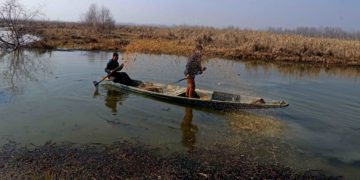 محکمہ وائلڈ لائف کے اہلکار ہوکرسر جھیل میں پرندوں کیلئے غذا ڈالتے ہوئے۔۔۔فوٹو؛ساحل میر