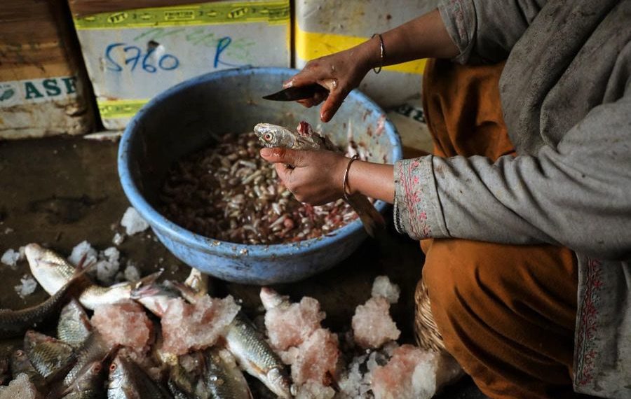 پھریمچھلی(موکڈ فش( کشمیر کی سردیوں کی لذت