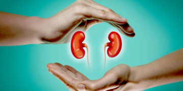 گردے کے انحطاط کو روکنے کے لیے صحت مند طرز زندگی کلید ہے:ماہرین