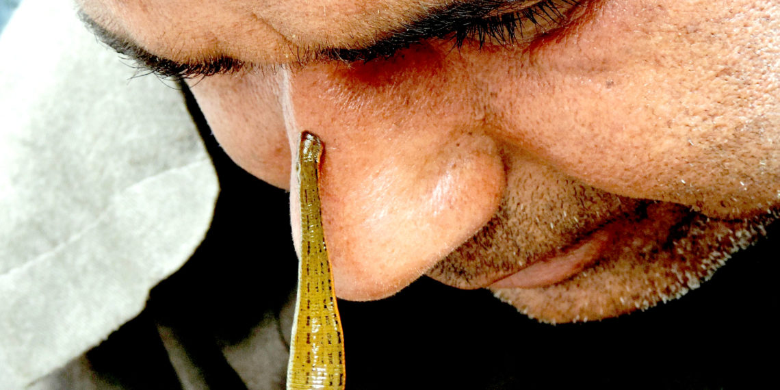 نو روزعالم کی تقریب جوش وخروش اور عقیدت کے ساتھ منائی گئی