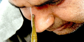 نو روزعالم کی تقریب جوش وخروش اور عقیدت کے ساتھ منائی گئی