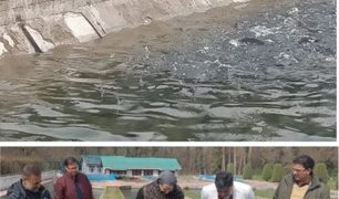 شبنم کاملی نے ضلع سرینگر کے مختلف ٹراؤٹ فش فارموں کا دورہ کیا