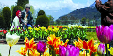 سرینگر کے گل لالہ میں اگلے سال 1.7ملین ٹیولپ پھول کھلیں گے