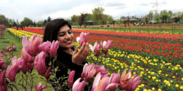 ٹیولپ گارڈن میں ا یک ماہ میں 3.65 لاکھ سیاحوں کی ریکارڈ آمد