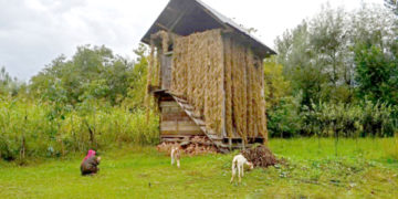 سرینگر کے مضافات میں لکڑیوں سے خالص بنے ہوئے گھر کی ایک جھلک۔۔۔فوٹو؛،ساحل میر