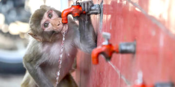 رات کا درجہ حرارت بھی جموں و کشمیر میں بڑھ گیا ہے