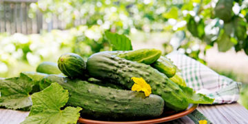 کھیرے میں ہائیڈریشن سے زیادہ ہے