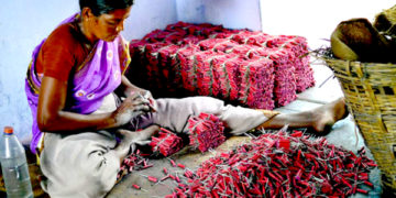 تمل ناڈو: پٹاخے کے گودام میں دھماکے سے کم از کم 9 افراد ہلاک، 10 زخمی