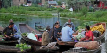 کولگام کے وانی گنڈ گائوں میں باغ مالکان روزانہ تین ہزار کلو کھیرے کاٹ رہے ہیں۔۔۔(فوٹو :ساحل میر)