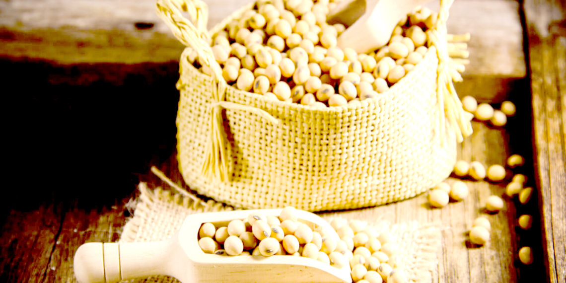 سویا بین کے تیل کا زیادہ استعمال غیر صحت بخش آنتوں سے منسلک