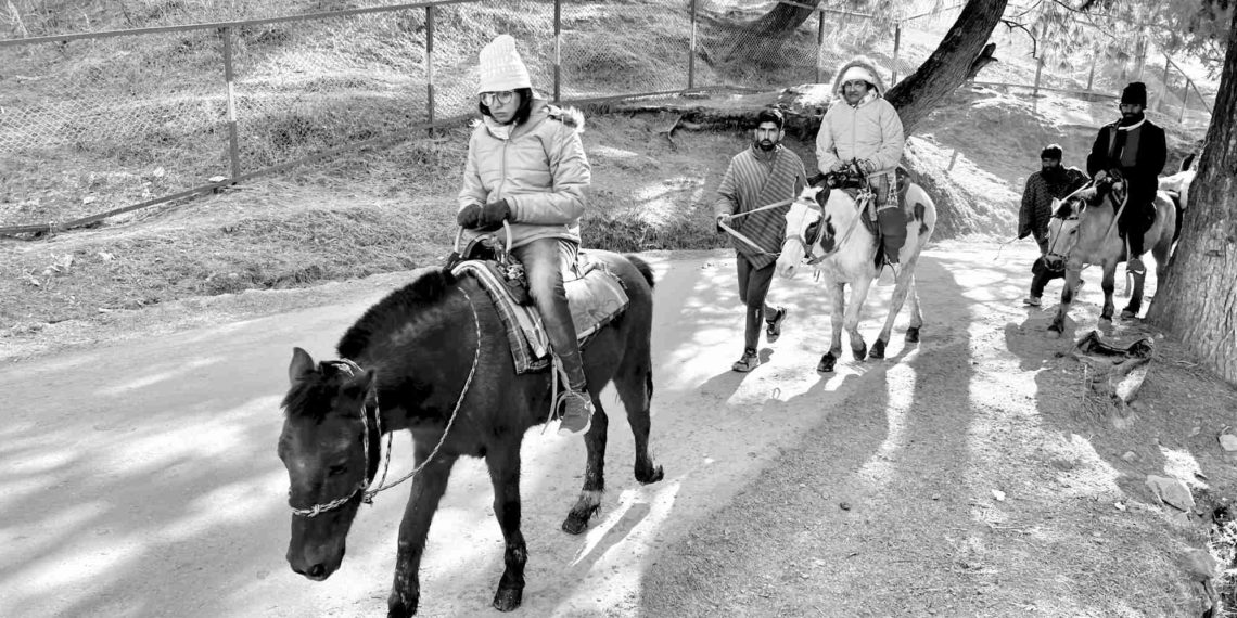 گھنٹہ گھر لعل چوک میں جمعہ رات کو گہری دھند کے بیچ کبوتر اُڑان بھرتے ہوئے۔ (فوٹو :ساحل میر)