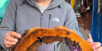 کوڑے کرکٹ کو دلکش فن میں تبدیل کرنے والا انجینئر مدثر رشید