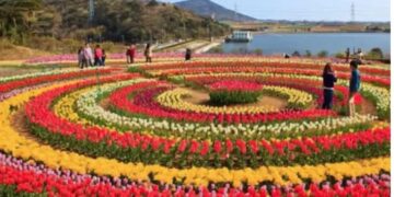 ٹیولپ گارڈن سرینگر، 17 اپریل سے عوام کے لیے بند ہو گا