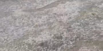 کپوارہ کے متعدد علاقوں میں قہر انگیز ژالہ باری ،کھڑی فصلوں اورمیوہ باغات میں تباہی