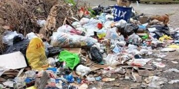 آن لائن کوڑے دان بک کرنے کی سہولت کا آغاز